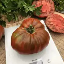 Томат «Сахар бурый»