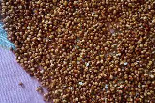 Крупа сорго после обмолота фракцией чуть больше гречки