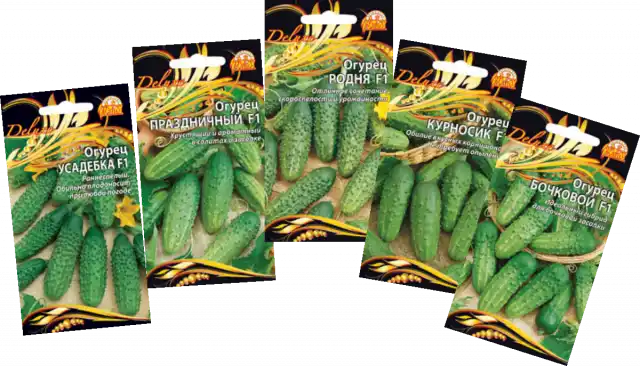 Гибриды огурцов от компании ООО «Ваше хозяйство».