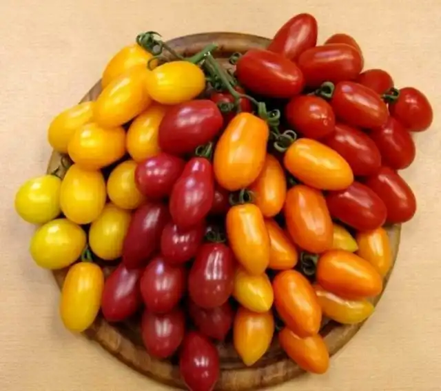 Томат «Сладкий финик F1»