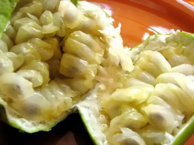 Если вы не собираете семена для выращивания, то плоды пассифлоры инкарнатной можно есть вместе с ними