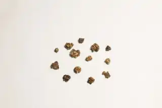 Семена мангольда