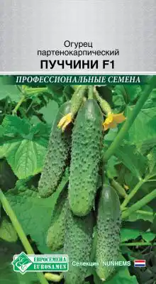 Огурец партенокарпический «Пуччини F1»