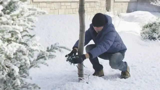 Декоративная подсветка не только украсит ваш сад, но и отпугнет грызунов
