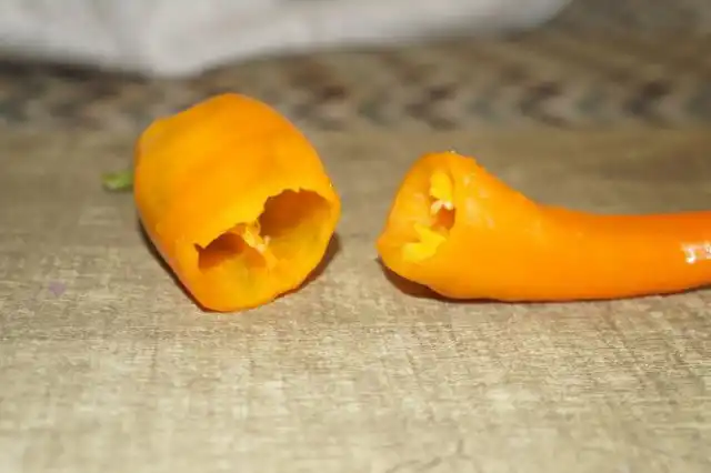 Перец 'Ramiro' тонкостенный, но очень вкусный