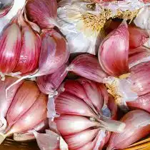 Озимый чеснок «Петровский»