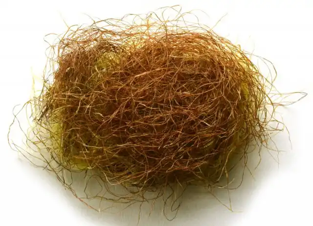 Я собираю кукурузные рыльца в период созревания початков, срывая их с початков при сборе урожая