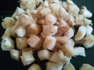 Я измельчаю корень, нарезая его сначала секатором поперек на мелкие кусочки