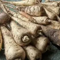 Пастернак «Лучший из всех»