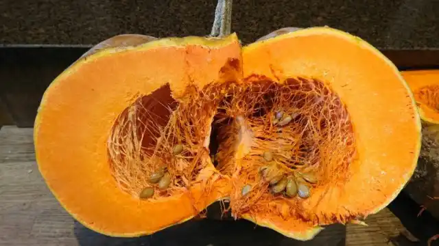 Наибольшее количество сахаров «Мускат Прованса» набирает в жаркое солнечное лето