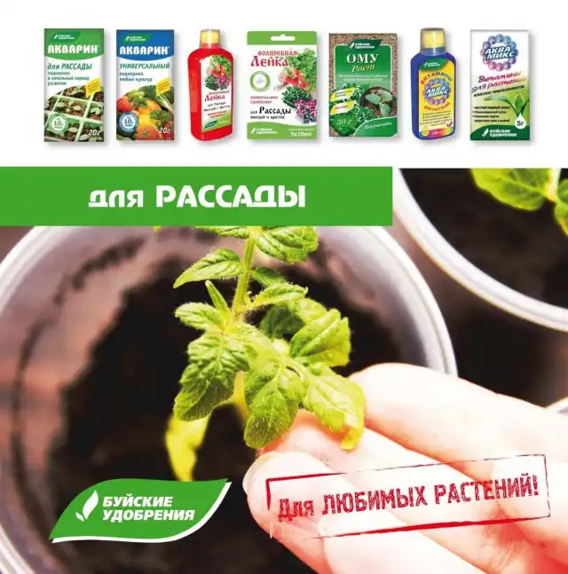 Комплекс удобрений для рассады