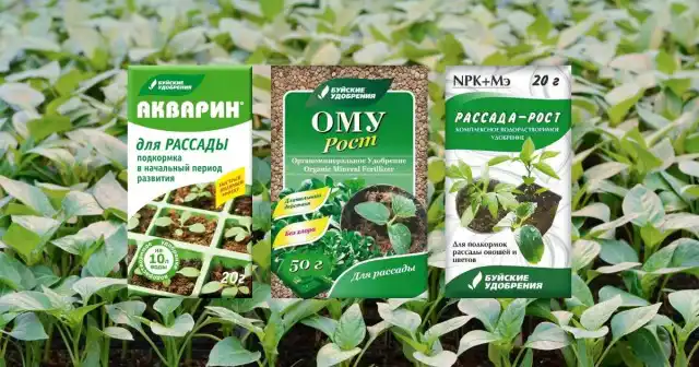 Керуємо розвитком розсади
