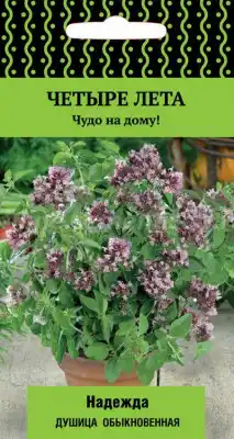 Душица обыкновенная Надежда (серия Четыре лета)