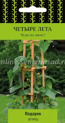 Огурец Подарок F1 (серия Четыре лета)
