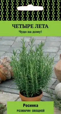 Розмарин лекарственный Росинка (серия Четыре лета)