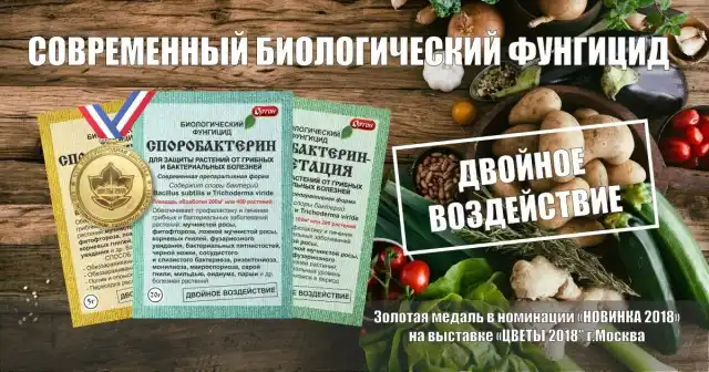 Болезнь проще предупредить, чем потом её лечить!