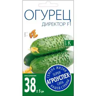 Огурец Директор F1