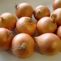 Репчатый лук «Стригуновский»