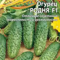 Огурец «Родня» — высокоурожайный, с длительным плодоношением и отличными вкусовыми качествами!