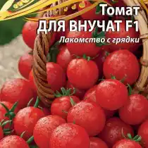 Томат «Для внучат» — урожайный! Не боится жары и засухи! Очень нравится детям!