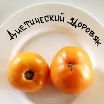 Томат «Диетический здоровяк»