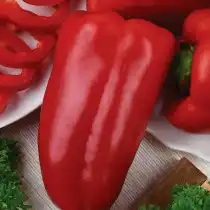 Перец сладкий «Сочник»