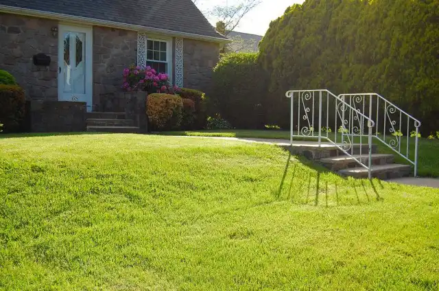 Газон - очень красивая картинка, но за ней стоит напряжённый труд