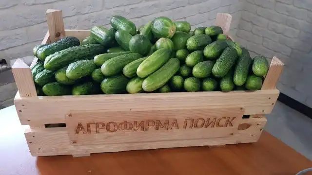 У чому різниця між