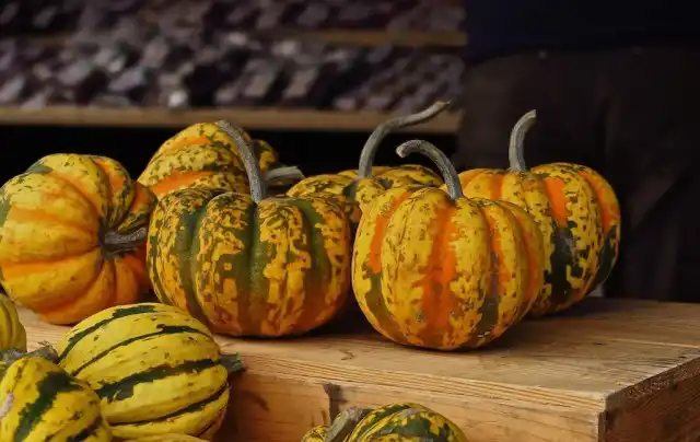 Пусть зимний сквош хорошенько созреет до того момента, как вы начнете собирать урожай