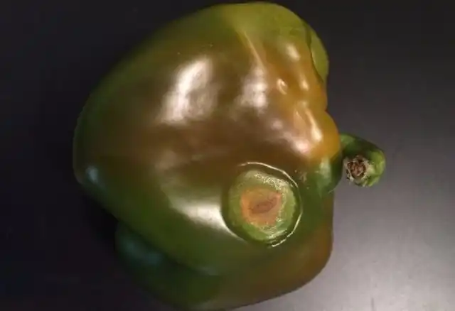 Признаки антракноза на перце