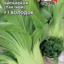 Пекинская капуста «Холодок F1»