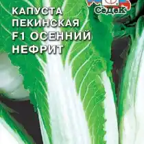 Пекинская капуста «Осенний нефрит F1»