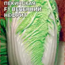 Пекинская капуста «Весенний нефрит F1»