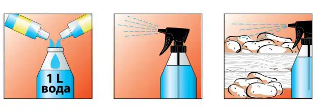 Схема подготовки препарата «Командор+» и обработки им картофеля перед посадкой