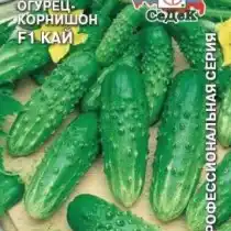 Огурец «Кай»