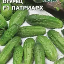 Огурец «Патриарх»