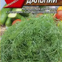 Укроп «Дальний»