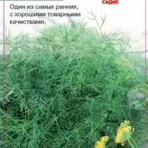 Укроп «Грибовский»