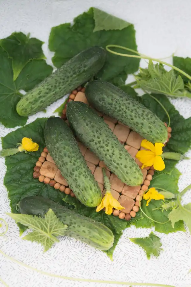 Огурец Бастион F1