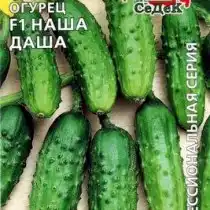 Огурец «Наша Даша F1»