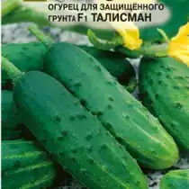 Огурец «Талисман F1»
