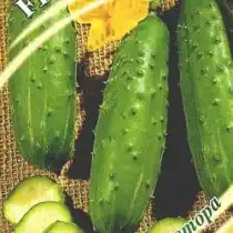 Огурец «Вояж F1»