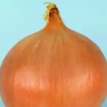 Лук репчатый Медальон F1
