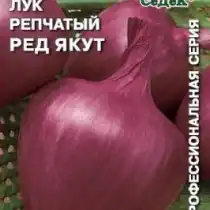 Лук репчатый Ред якут