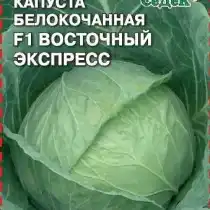 Капуста белокочанная Восточный экспресс F1