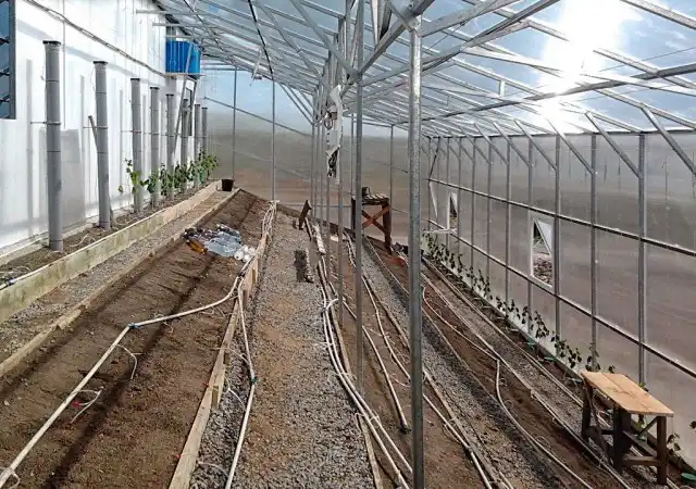 Внутреннее устройство вегетария