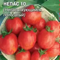 Томат Непас 10 (Непасынкующийся полосатый)