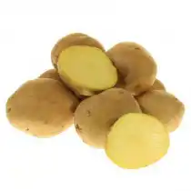 Сорт картофеля для Нижневолжского региона - Луговской