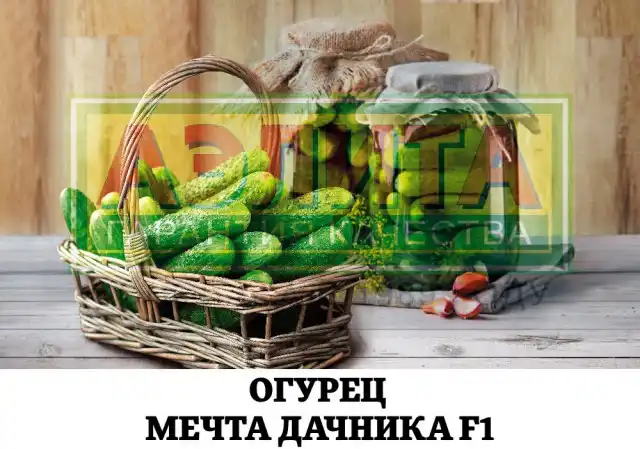 Огурец «Мечта дачника»