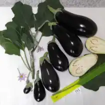 Баклажан Бычий лоб